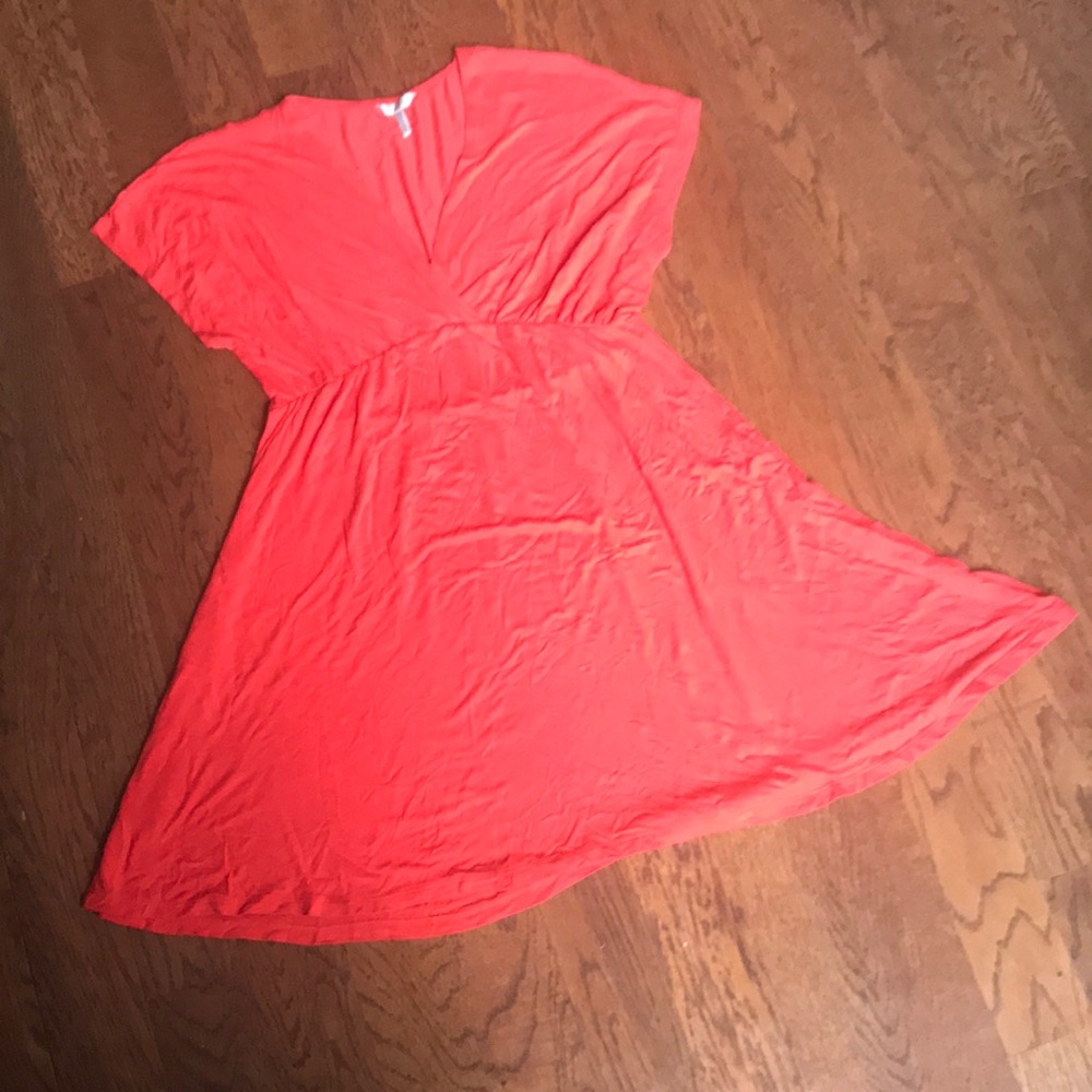 Cover Up/ Dress